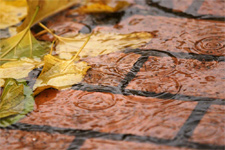 HOA-water-intrusion-patio.jpg