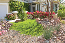 low-water-plants-HOA.jpg