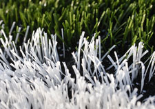 turf.jpg