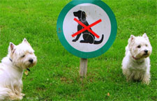 hoa-pet-restriction